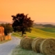 Balle di fieno arrotolato: un paesaggio tipico italiano