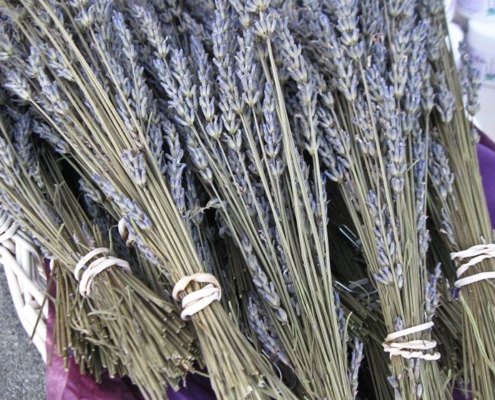 Mazzetti di lavanda essiccati