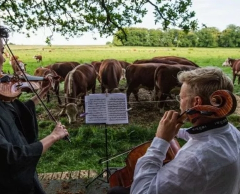 Musica in fattoria